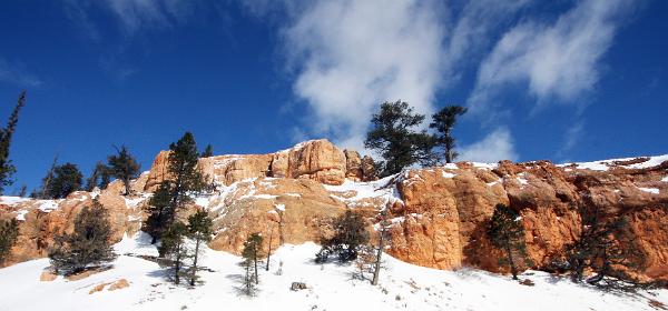 Red Canyon