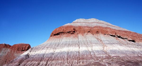 Petrified Forest National Park