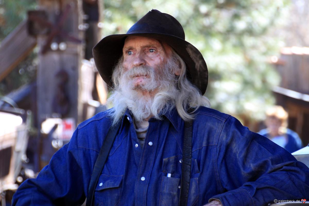 Don Robertson