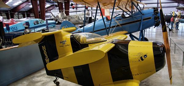 Starr Bumble Bee