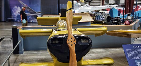 Starr Bumble Bee