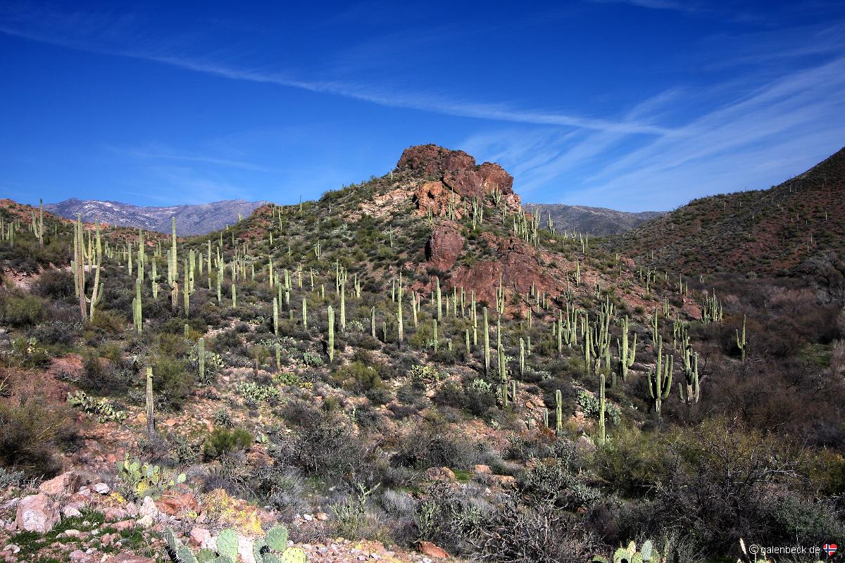 Hewitt Canyon
