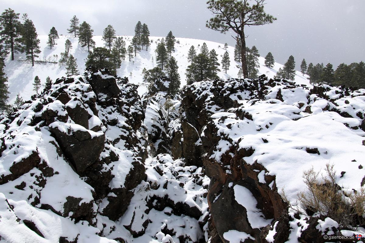 Sunset Crater Volcano National Monument