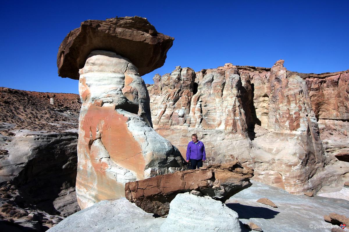 Stud Horse Point