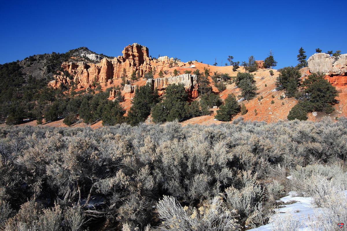 Red Canyon