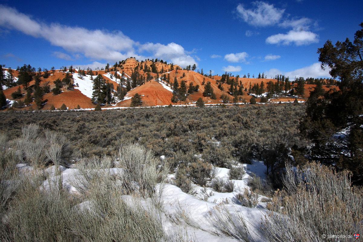 Red Canyon