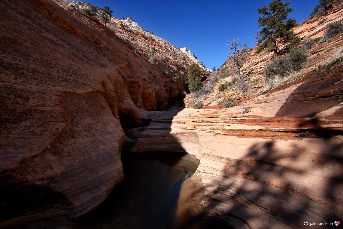 Zion National Park