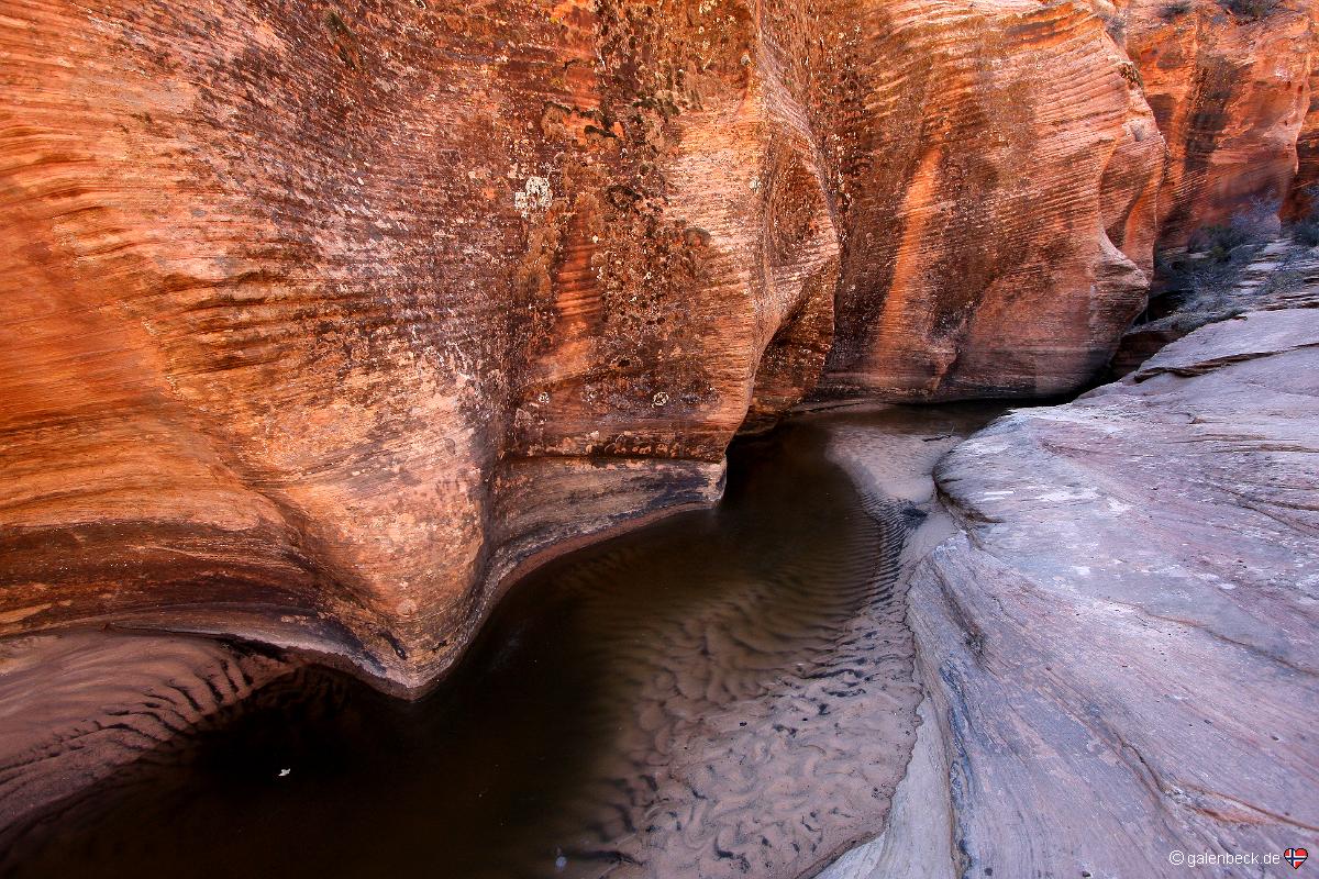 Zion National Park