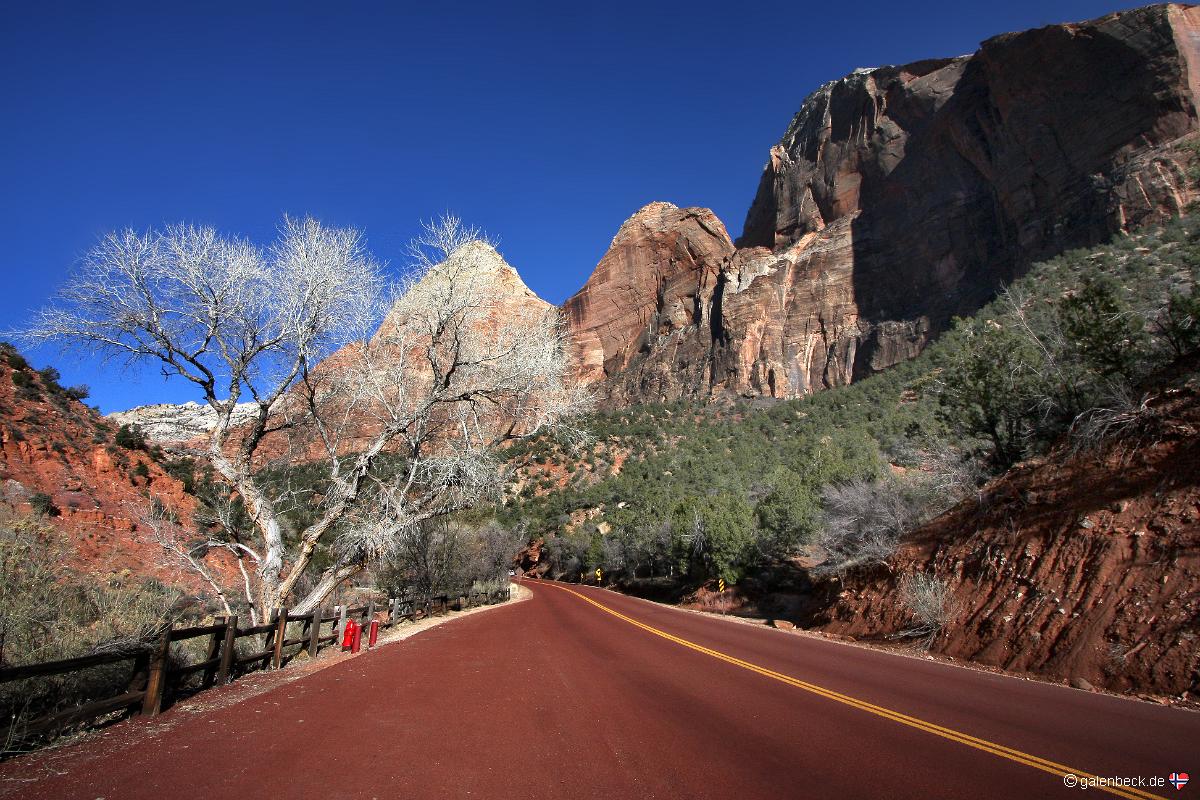 Zion Canyon