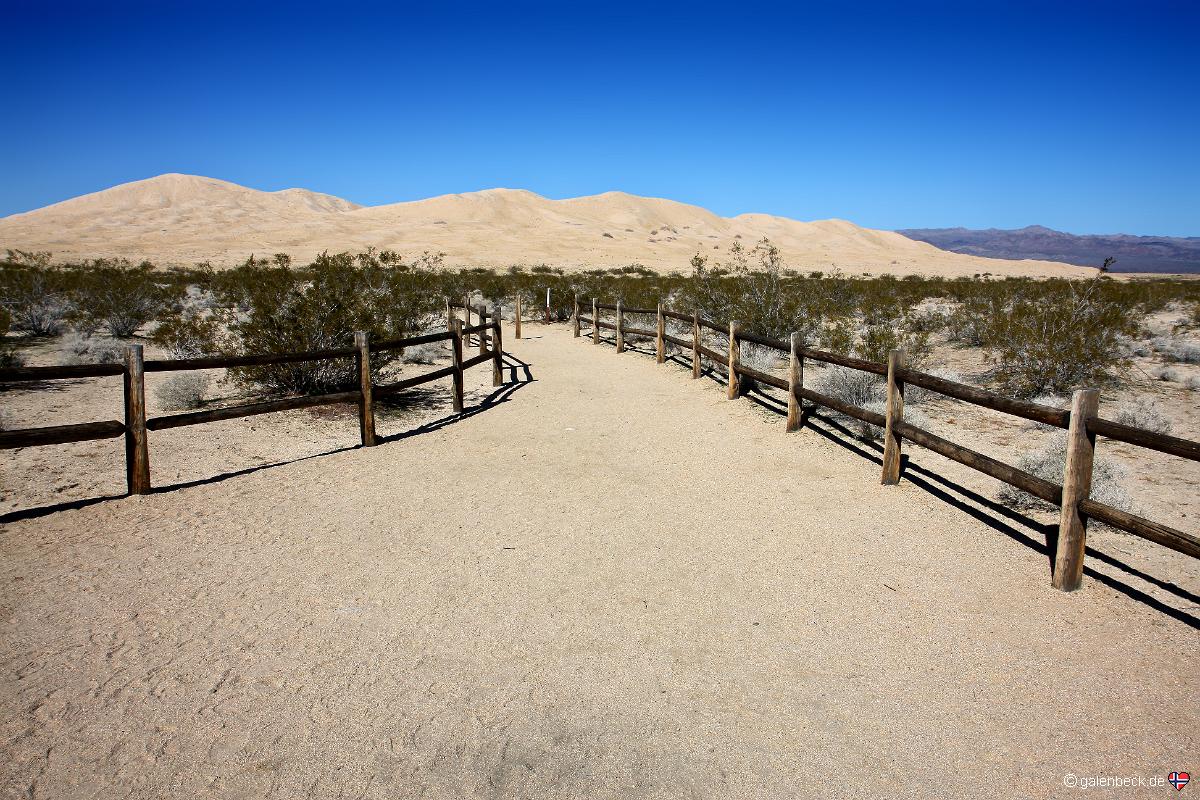 Kelso Dunes