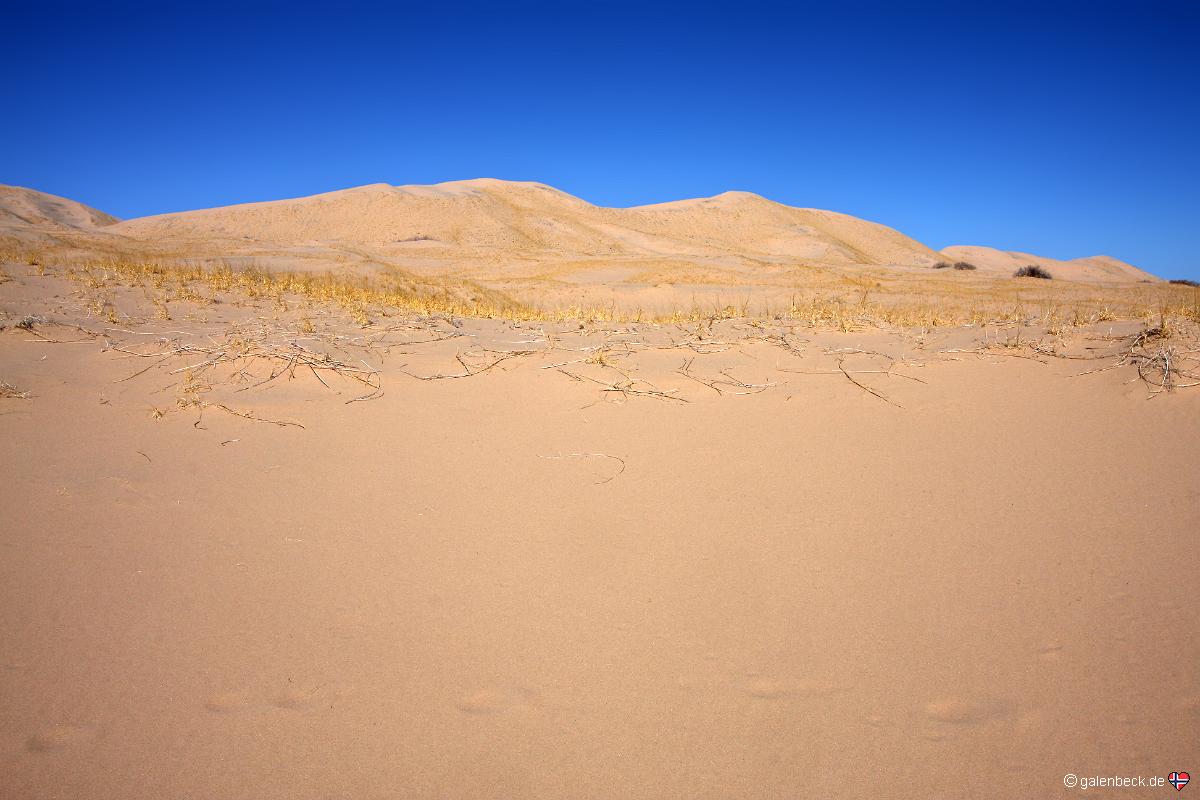 Kelso Dunes