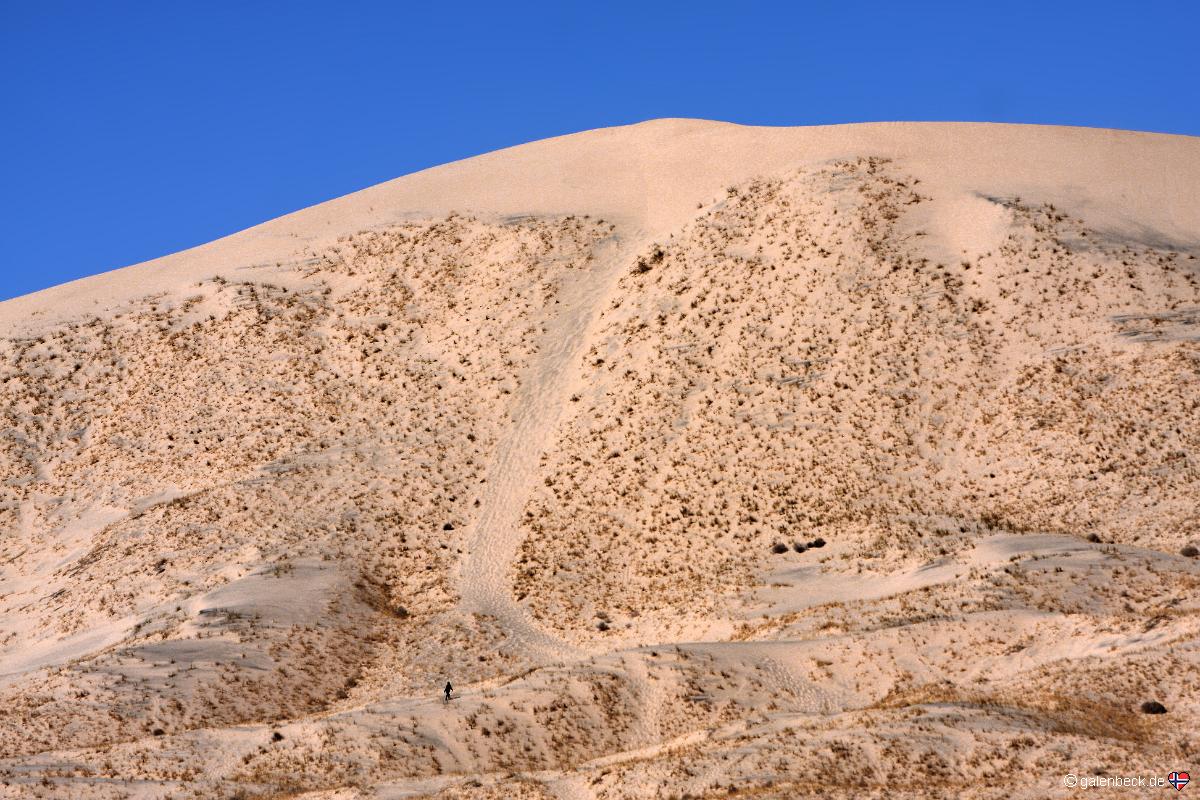 Kelso Dunes