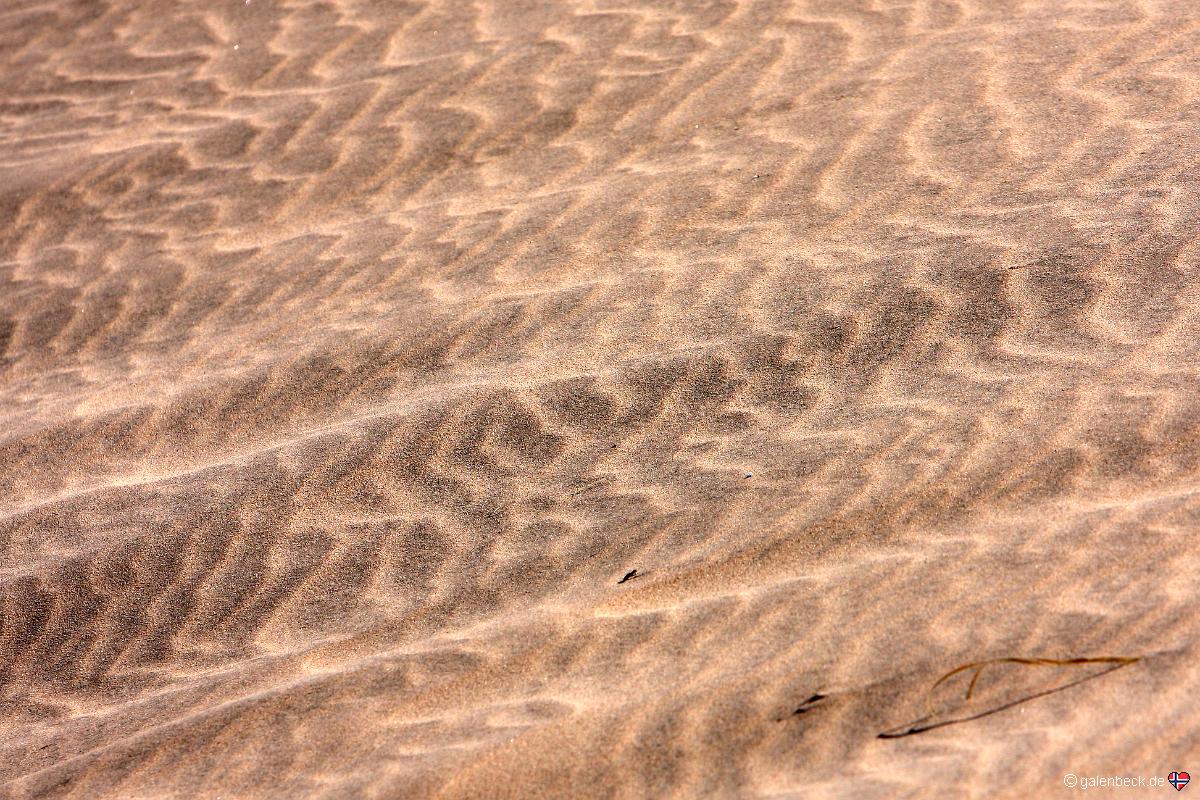 Kelso Dunes