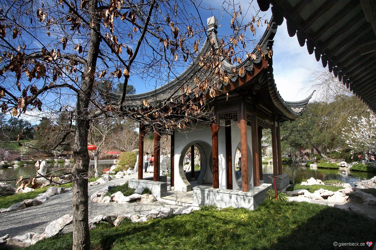 Huntington Library Art Gallery and Botanical Gardens