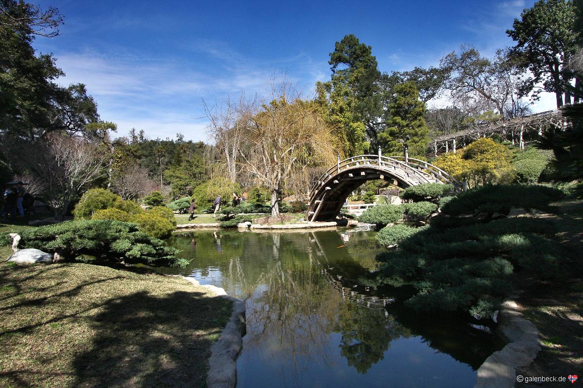 Huntington Library Art Gallery and Botanical Gardens