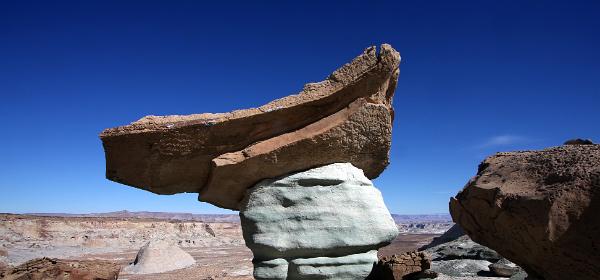 Stud Horse Point