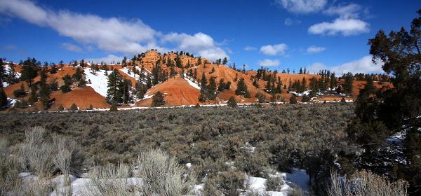 Red Canyon