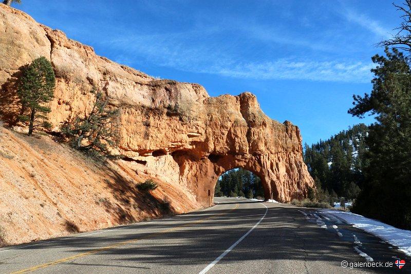 Red Canyon