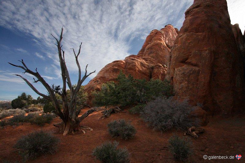 Arches National Park