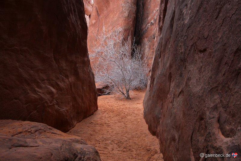 Arches National Park