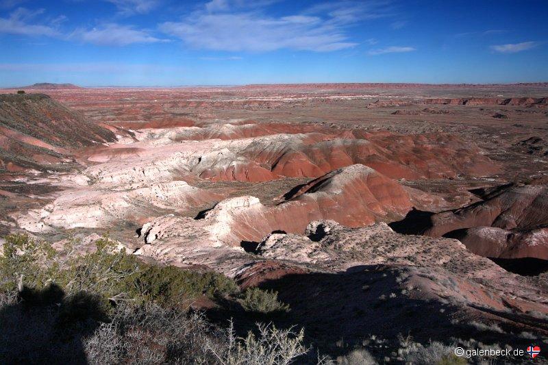 Petrified Forest National Park