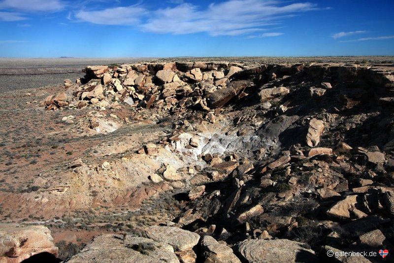 Petrified Forest National Park