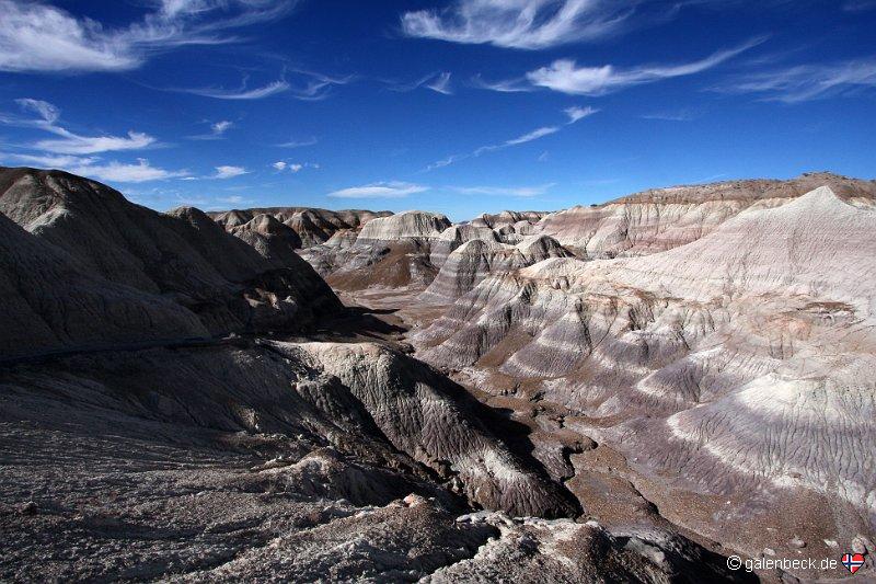 Petrified Forest National Park