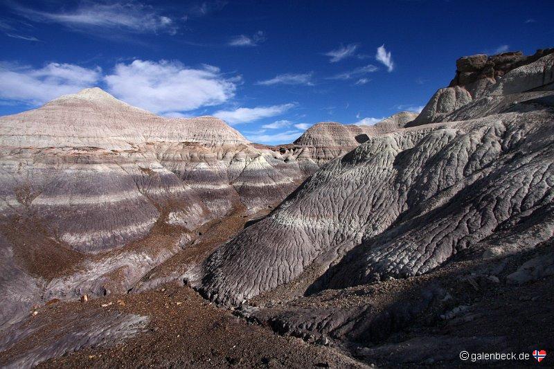 Petrified Forest National Park