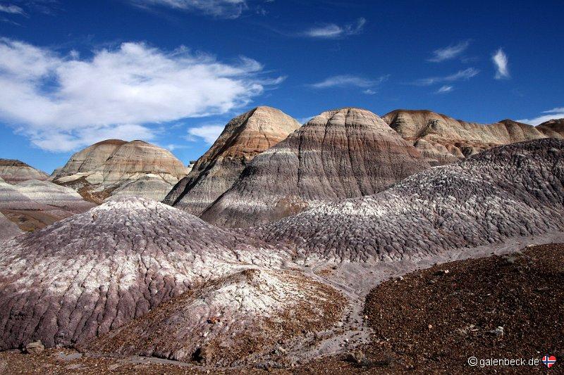 Petrified Forest National Park