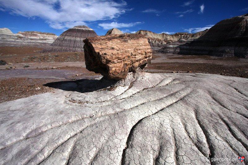 Petrified Forest National Park