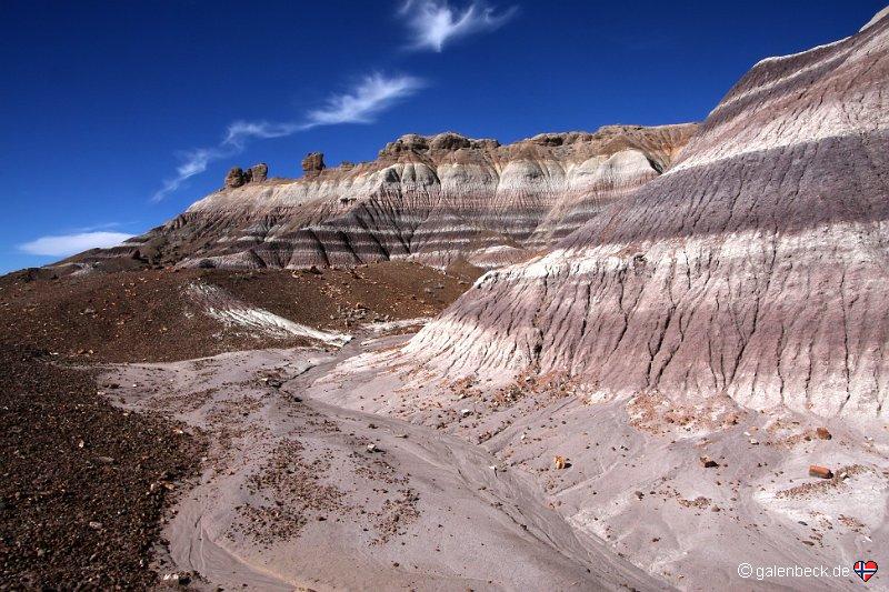 Petrified Forest National Park