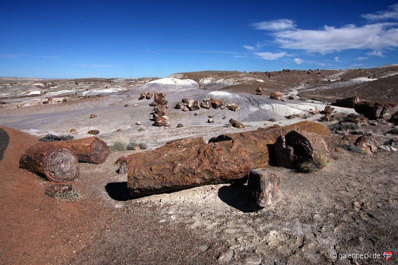Petrified Forest National Park