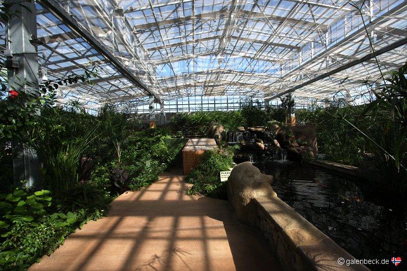 Butterfly Wonderland Scottsdale