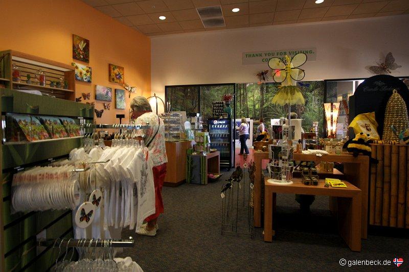 Butterfly Wonderland Scottsdale