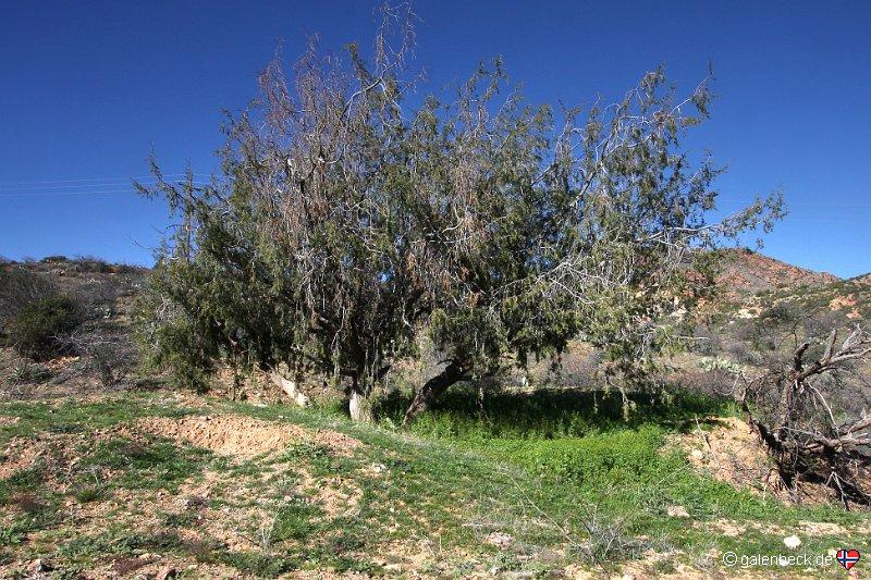 Castle Hot Springs Road