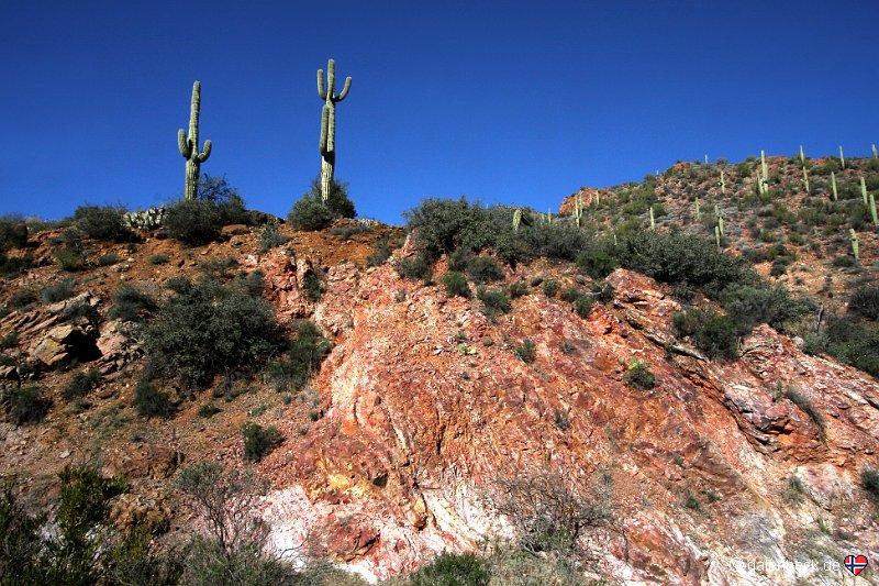 Castle Hot Springs Road
