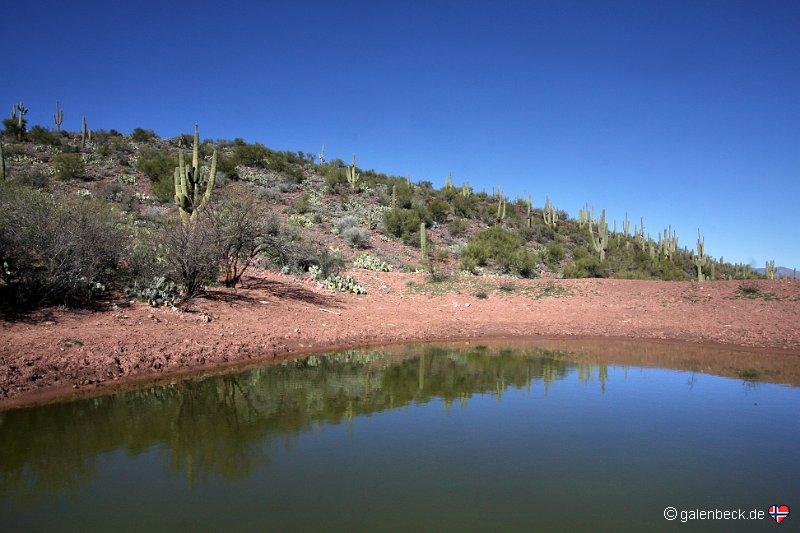 Castle Hot Springs Road