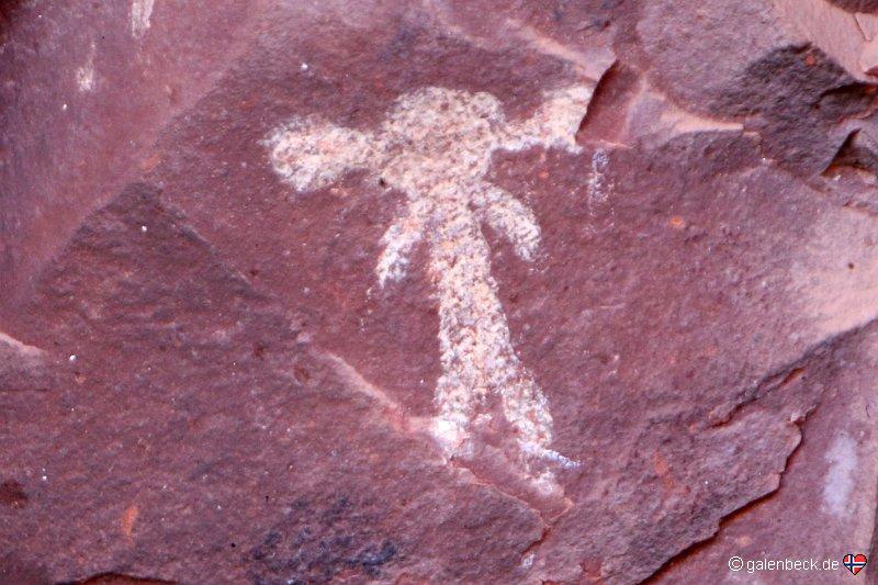 Palatki Heritage Site
