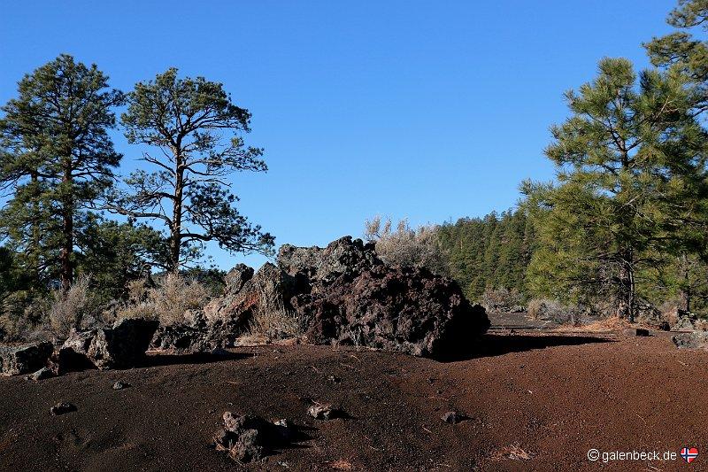 Sunset Crater Volcano National Monument