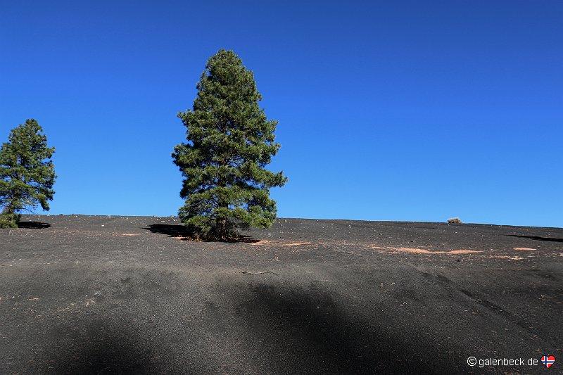 Sunset Crater Volcano National Monument