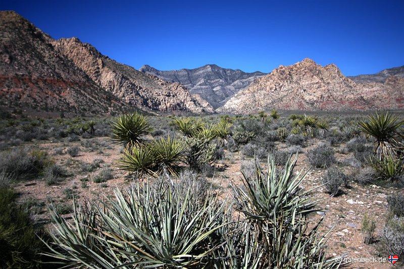 Red Rock Canyon Las Vegas