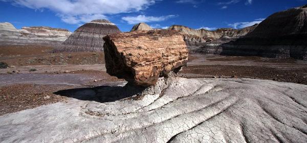 Petrified Forest National Park