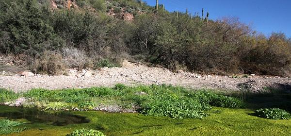 Castle Hot Springs Road