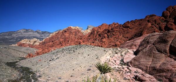 Red Rock Canyon Las Vegas