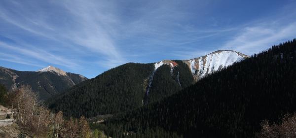 06