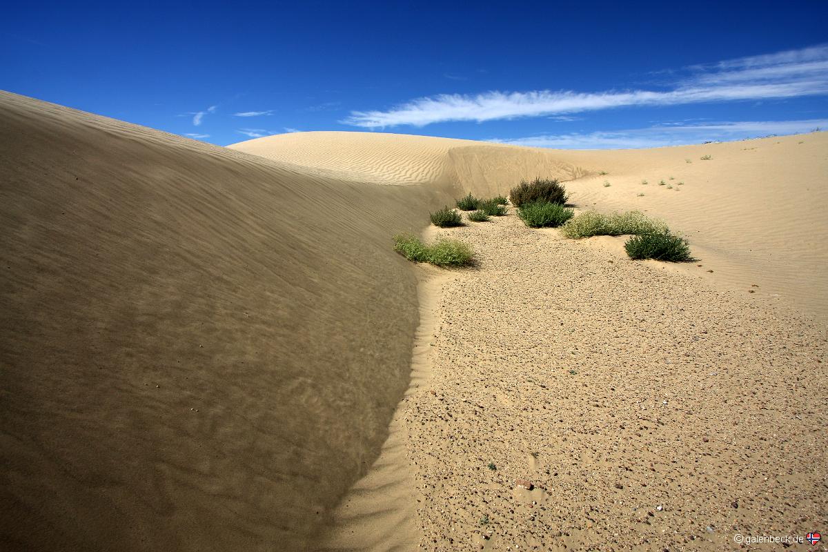 Chaco River Dunes