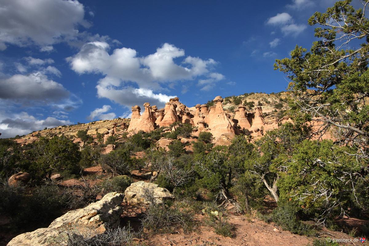 Fallen Timber Ridge Hoodoos