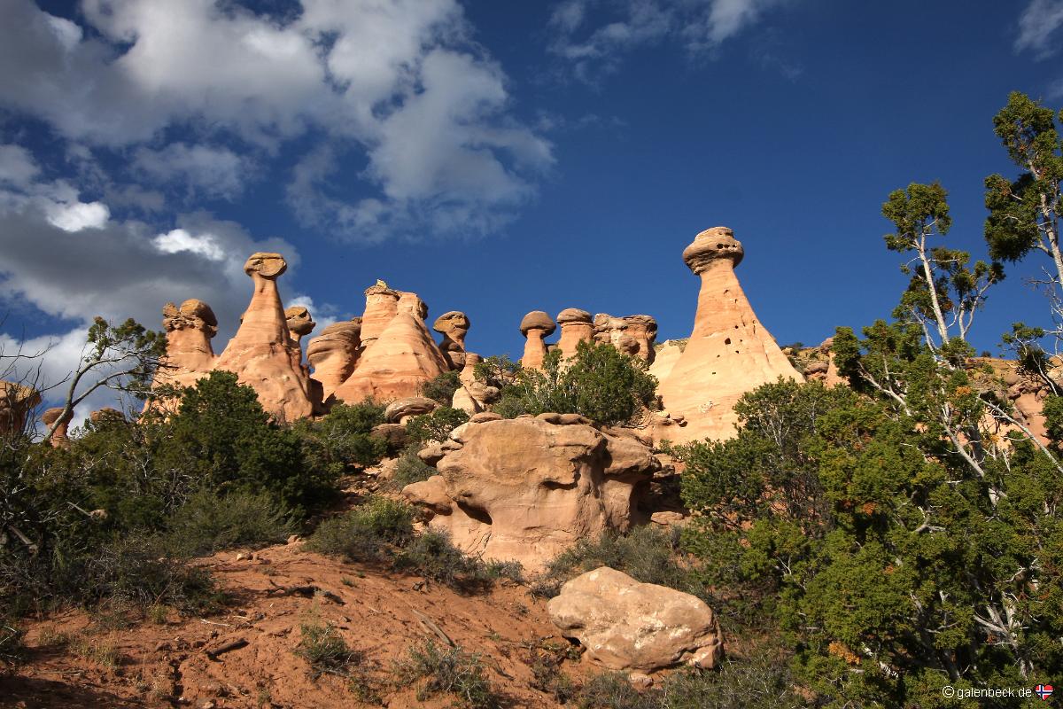 Fallen Timber Ridge Hoodoos