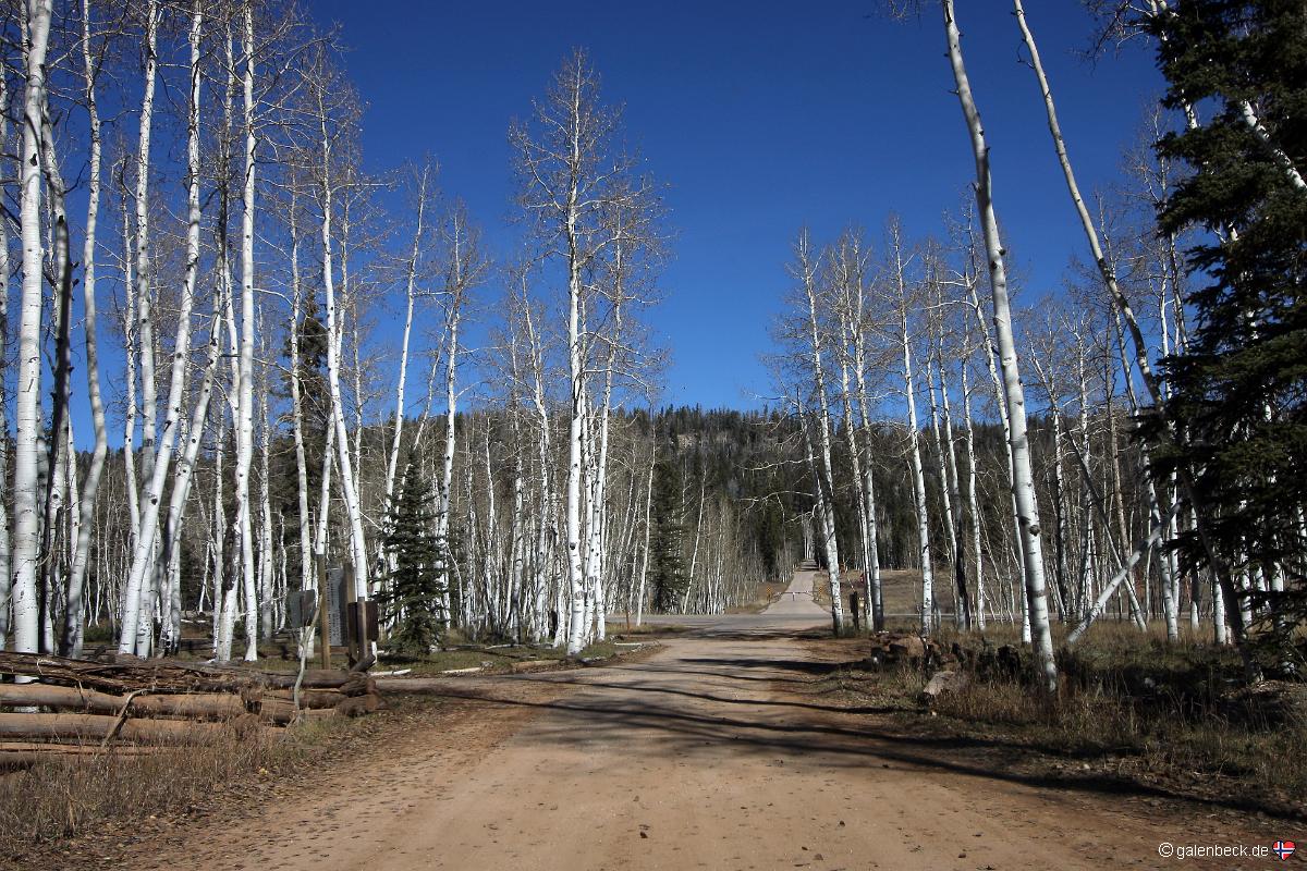 Markagunt High Plateau Scenic Byway