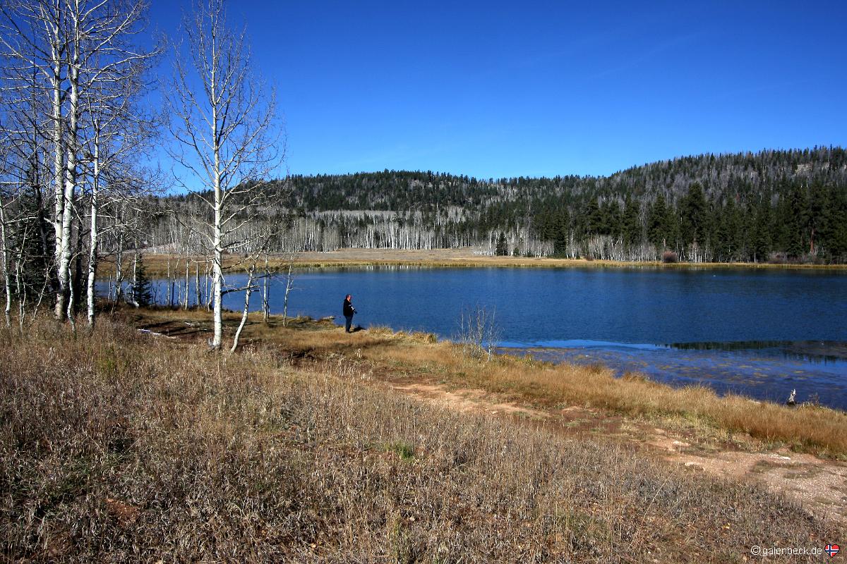 Markagunt High Plateau Scenic Byway